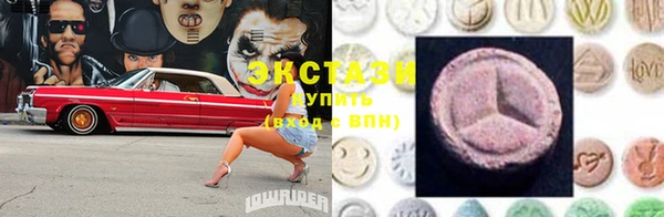 индика Бугульма