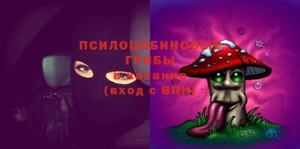 соль ск Бронницы