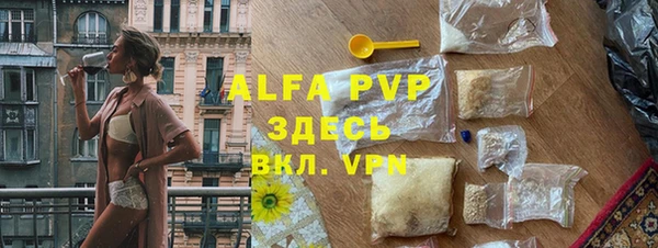 индика Бугульма
