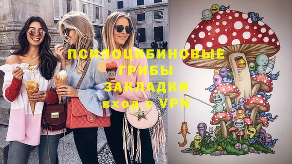 соль ск Бронницы