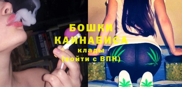 MDMA Болотное